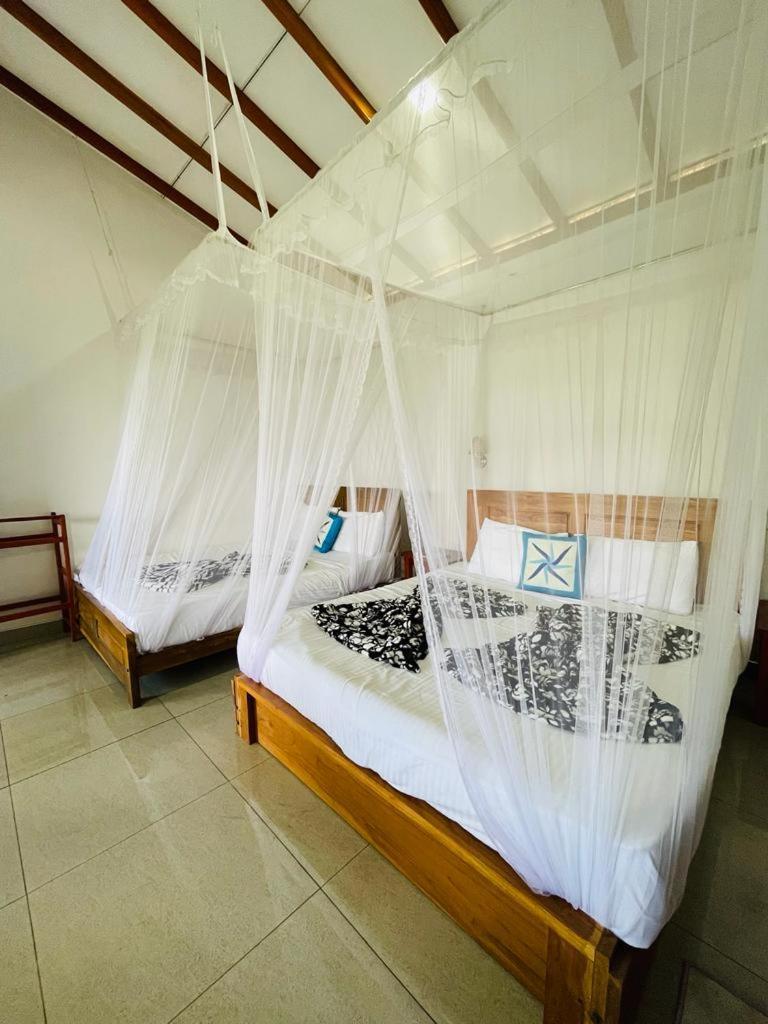 Racy Nature Cottage إيلا المظهر الخارجي الصورة