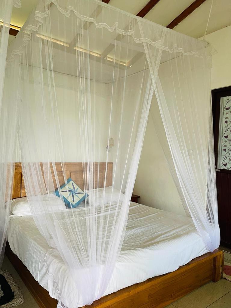 Racy Nature Cottage إيلا المظهر الخارجي الصورة