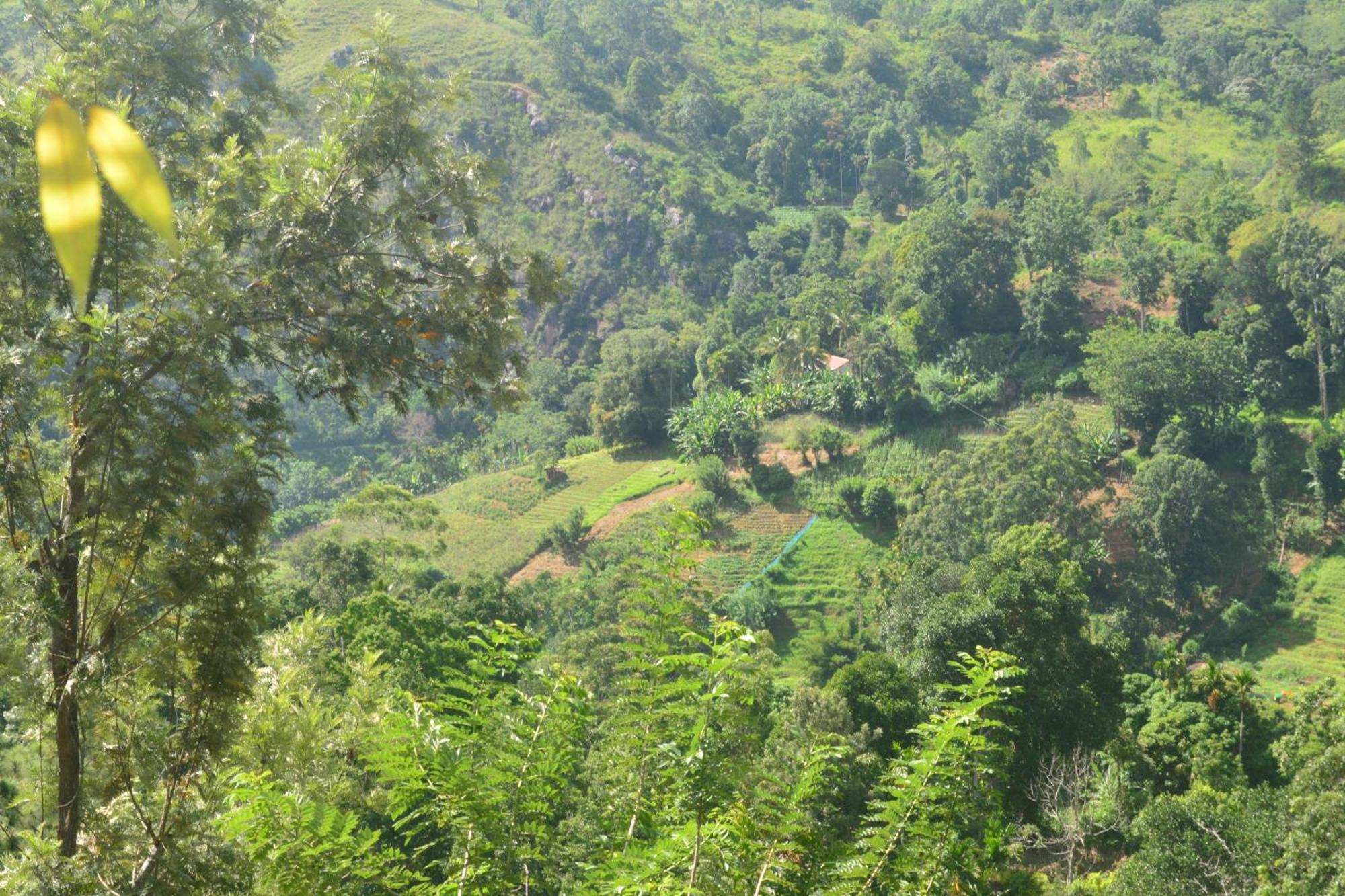 Racy Nature Cottage إيلا المظهر الخارجي الصورة