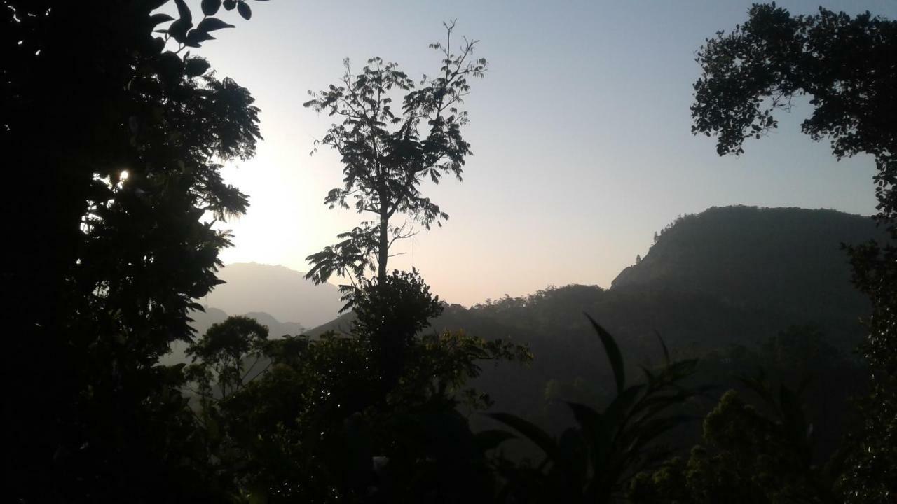 Racy Nature Cottage إيلا المظهر الخارجي الصورة