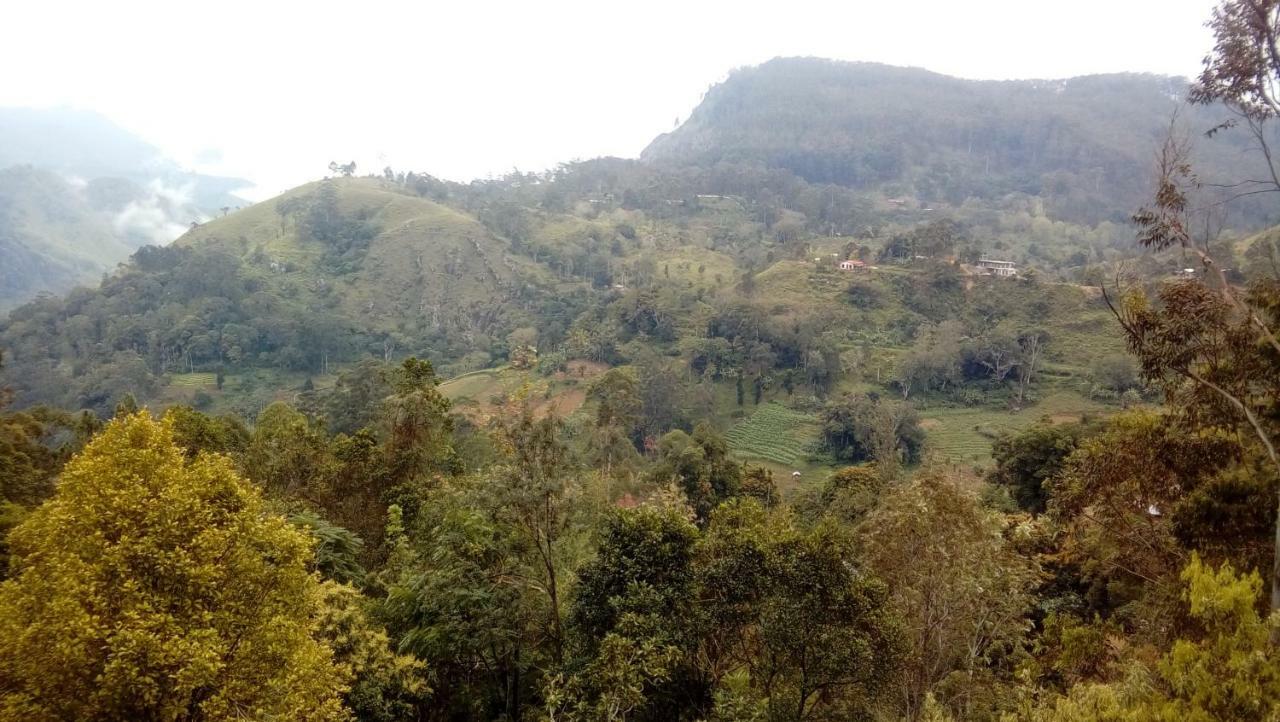 Racy Nature Cottage إيلا المظهر الخارجي الصورة