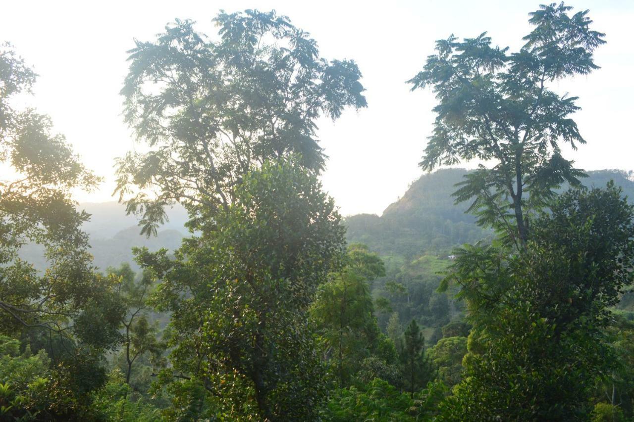 Racy Nature Cottage إيلا المظهر الخارجي الصورة