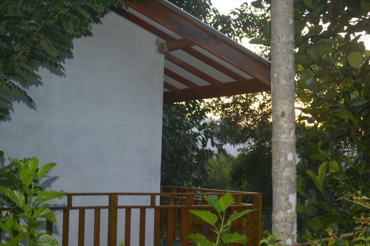 Racy Nature Cottage إيلا المظهر الخارجي الصورة
